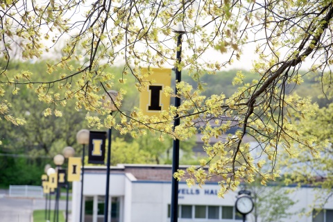 iowa flag banners